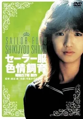 电影《邪不压正》海报